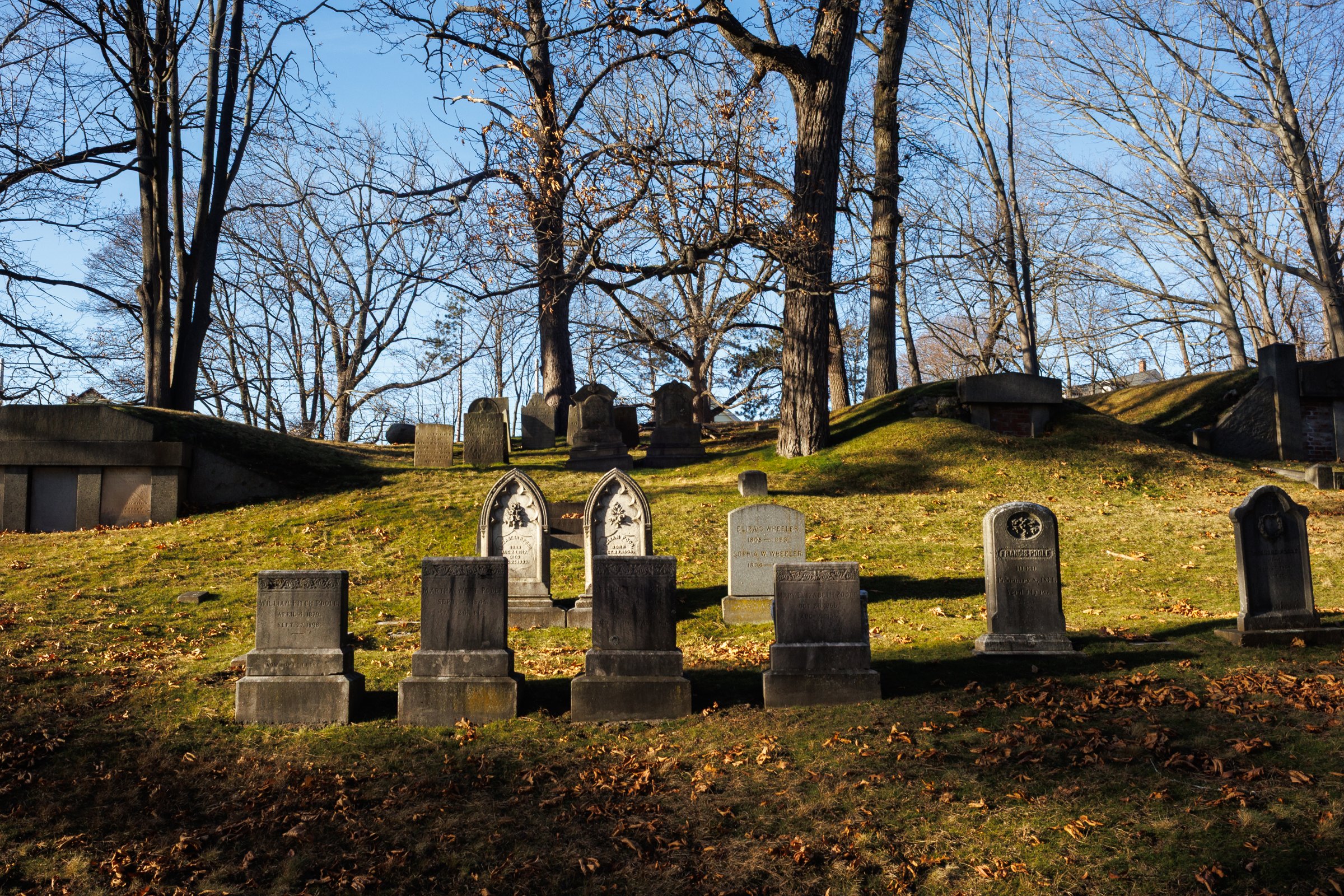 Old gravestones beneath bare trees in winter light