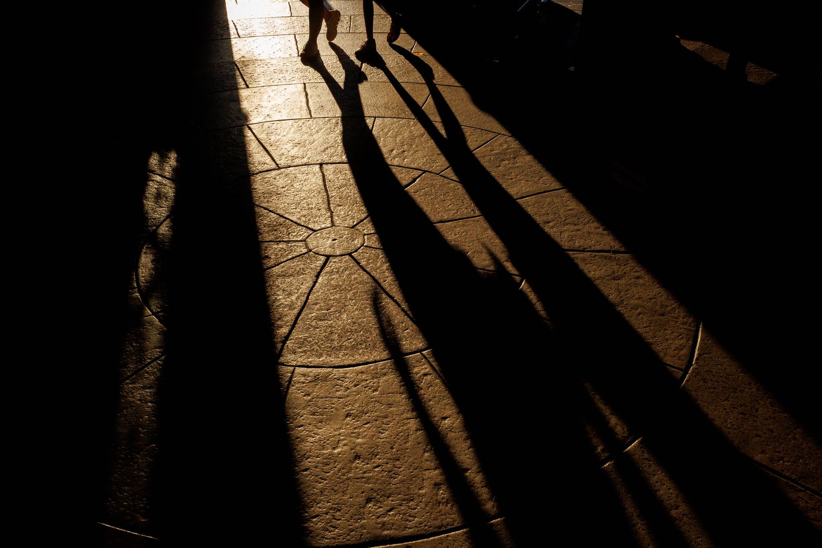 Long silhouettes stretching across golden pavement