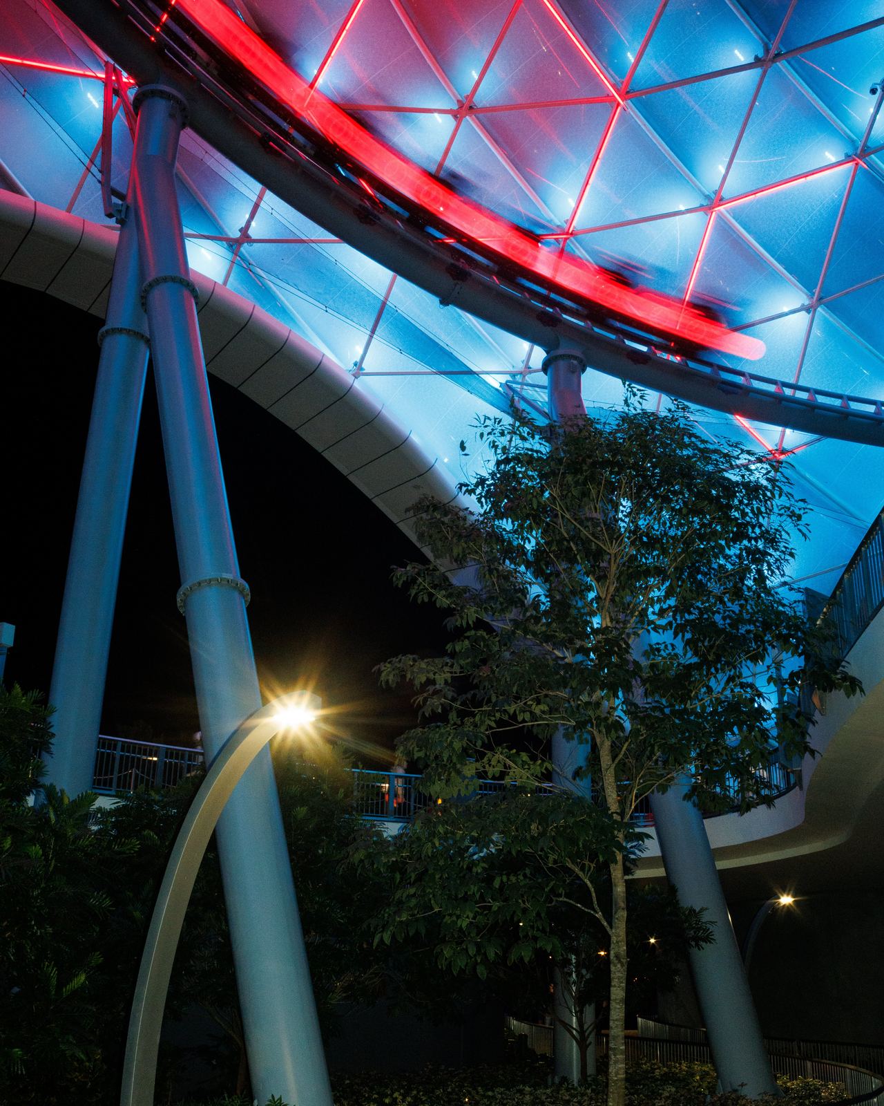 Red and blue illuminated rails crossing above trees at night